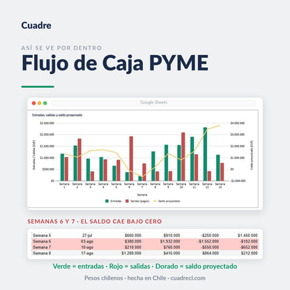 Video demo del Flujo de Caja PYME 13 semanas: se anotan movimientos en Registro y las 13 semanas se van poblando, con dos semanas en rojo bajo cero