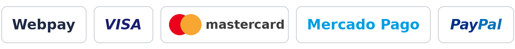 Medios de pago: Webpay, Visa, Mastercard, Mercado Pago y PayPal